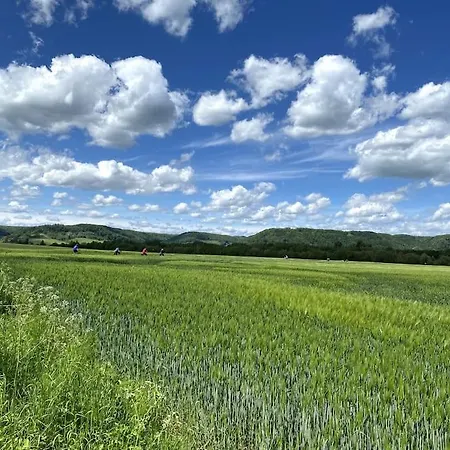 Small Accomondation With Possibility For Wellness アパート *